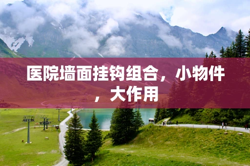 医院墙面挂钩组合，小物件，大作用