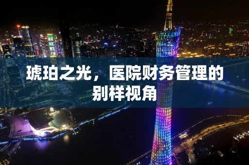 琥珀之光，医院财务管理的别样视角