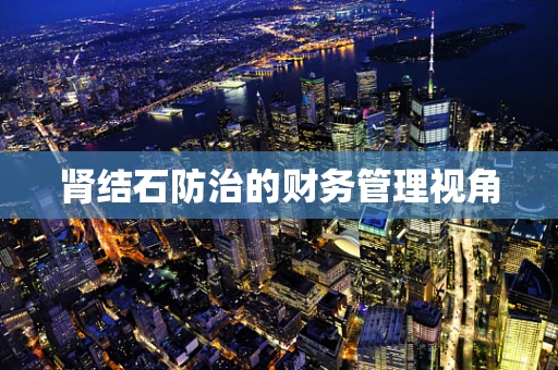 肾结石防治的财务管理视角