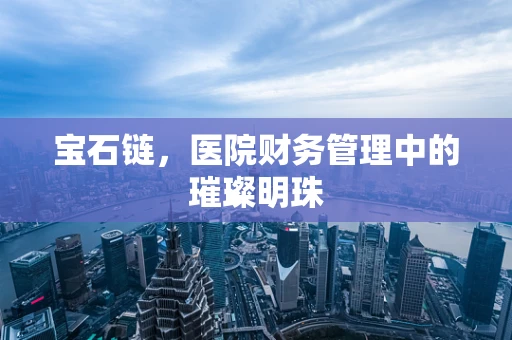 宝石链，医院财务管理中的璀璨明珠