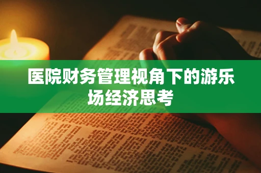 医院财务管理视角下的游乐场经济思考