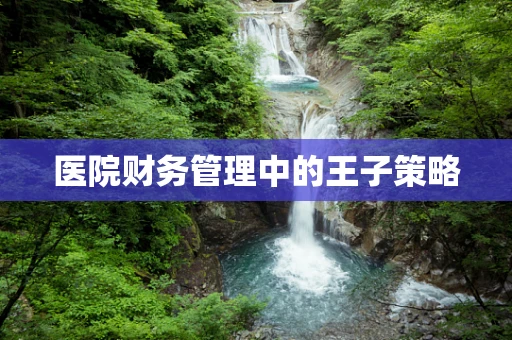 医院财务管理中的王子策略