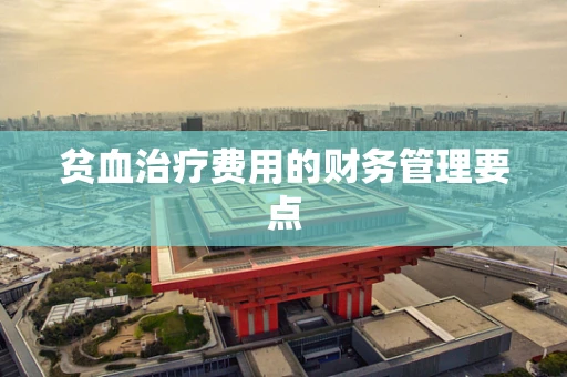 贫血治疗费用的财务管理要点