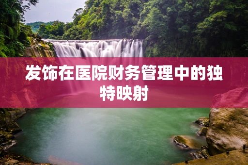 发饰在医院财务管理中的独特映射