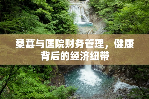 桑葚与医院财务管理，健康背后的经济纽带