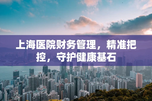 上海医院财务管理，精准把控，守护健康基石