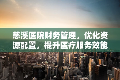 慈溪医院财务管理，优化资源配置，提升医疗服务效能