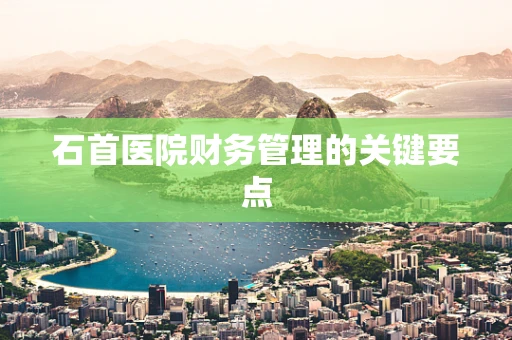 石首医院财务管理的关键要点