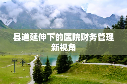 县道延伸下的医院财务管理新视角