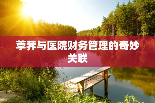 荸荠与医院财务管理的奇妙关联