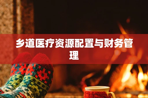 乡道医疗资源配置与财务管理