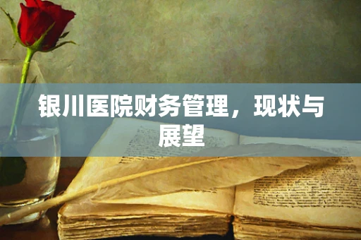 银川医院财务管理，现状与展望