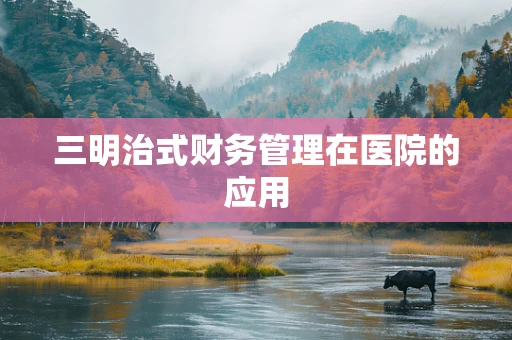 三明治式财务管理在医院的应用