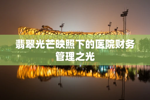翡翠光芒映照下的医院财务管理之光