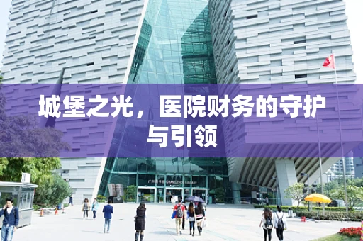 城堡之光，医院财务的守护与引领