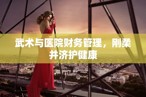 武术与医院财务管理，刚柔并济护健康