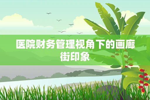 医院财务管理视角下的画廊街印象