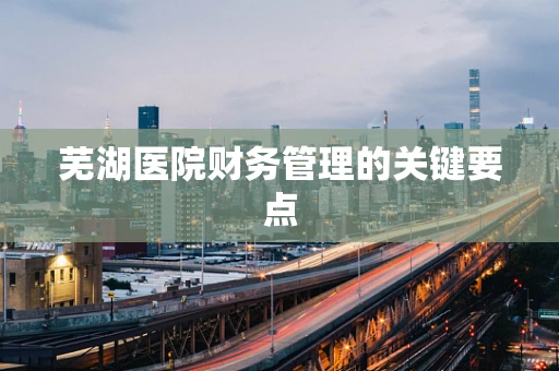 芜湖医院财务管理的关键要点