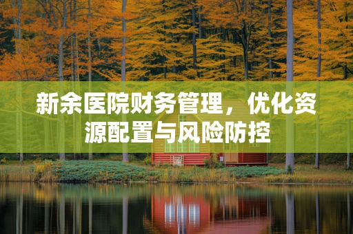 新余医院财务管理，优化资源配置与风险防控