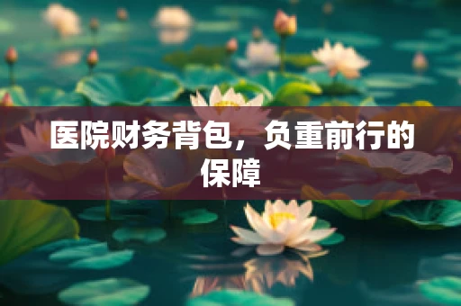 医院财务背包，负重前行的保障