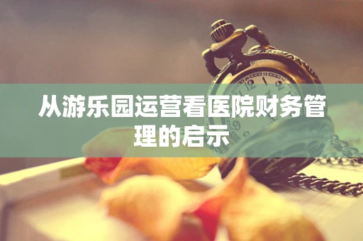 从游乐园运营看医院财务管理的启示