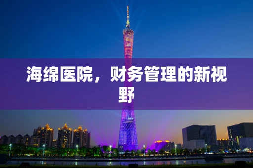 海绵医院，财务管理的新视野